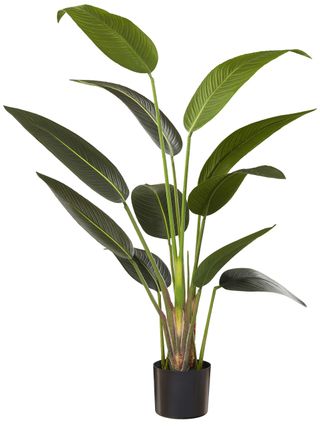 Bloomr + Potted Artificial Strelitzia Plant
