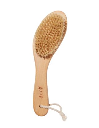 Goop + G.Tox Ultimate Dry Brush