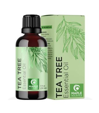 Maple Holistics + Tea Tree Essential Oil