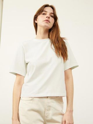 Aligne + Collyns Smart Slim T-Shirt in Egret