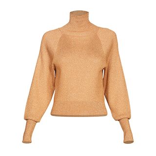Scoop + Metallic Turtleneck Sweater