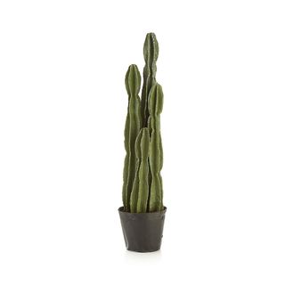 Crate & Barrel + Faux Potted Cactus