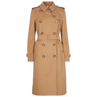 Burberry + Cotton Trench Coat