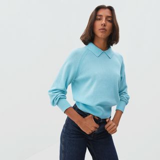 Everlane + Cashmere Collared Sweater