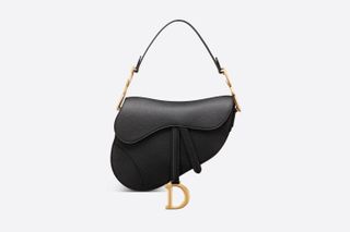 Dior + Saddle Bag