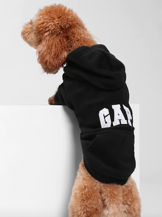 Gap + Dog Logo Hoodie