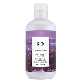 R+Co + Sunset Blvd Daily Blonde Shampoo