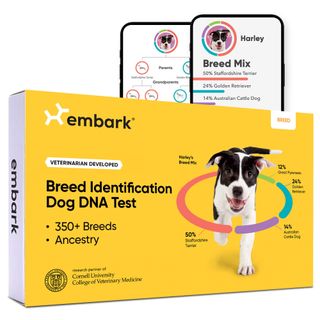 Embark + Dog Dna Test