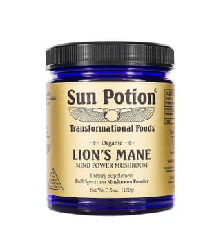 Sun Potion + Lion's Mane