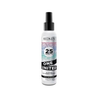 Redken + One United All-In-One Leave In Conditioner