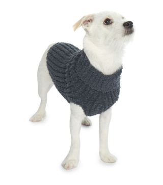 Barefoot Dreams + CozyChic Ribbed Dog Sweater