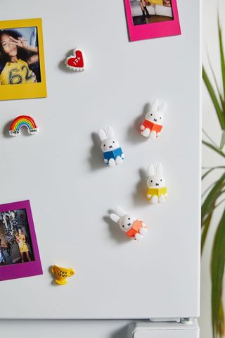 Urban Outfitters + Miffy Reading Magnet Set