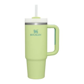 Stanley + Quencher H2.0 FlowState Stainless Steel Vacuum Insulated Tumbler with Lid and Straw