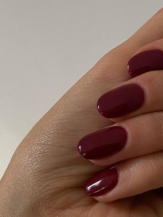 winter-nail-colours-296702-1638294608657-image