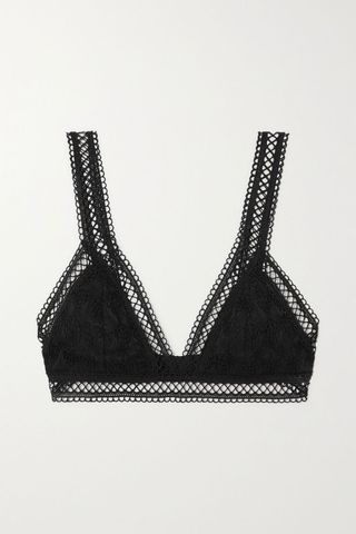 Waimari + Bralette