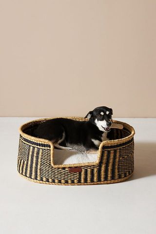 Design Dua + Midnight Small Dog Bed
