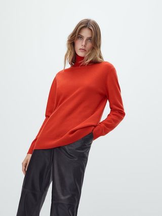 Massimo Dutti + Wool and Cashmere High Neck Sweater