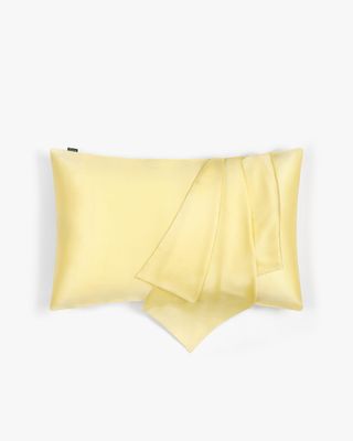 Lilysilk + Lilyáurea™ Silk Travel Pillowcase With Zipper