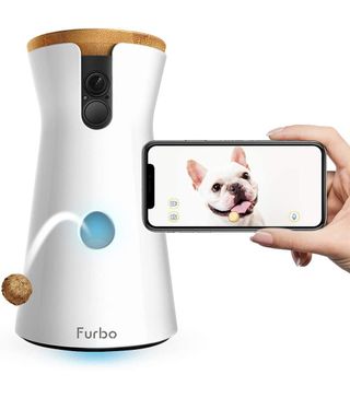 Furbo + Dog Camera
