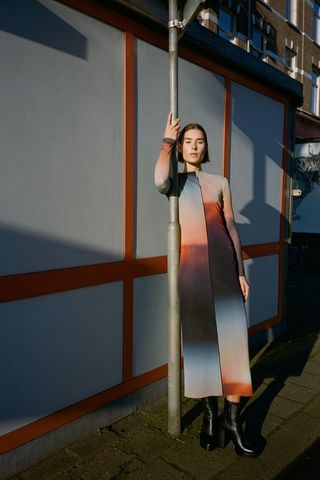 Zara + Printed Tulle Dress