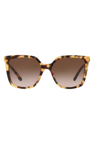 Tory Burch + 55mm Square Sunglasses