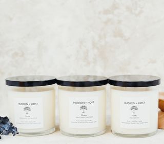 Hudson + Host + Well Being 3 Candle Bundle
