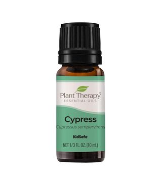Plant Therapy + Cypress Essential Oil