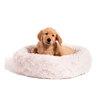 Best Friends by Sheri + The Original Calming Donut Cat and Dog Bed