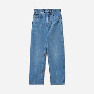 Everlane + The Way-High Jeans (Long) in Distressed