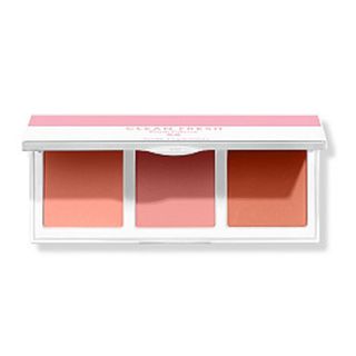 Covergirl + Clean Fresh Blush Palette in Dream in Pink