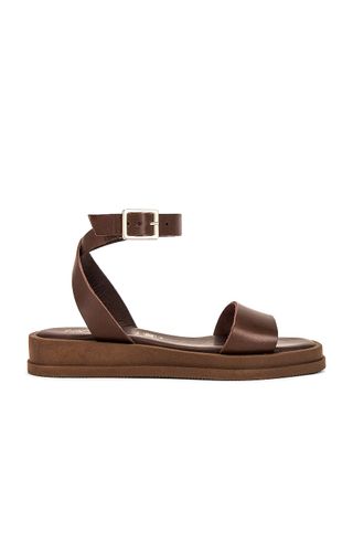 Seychelles + Note to Self Sandal in Brown Leather