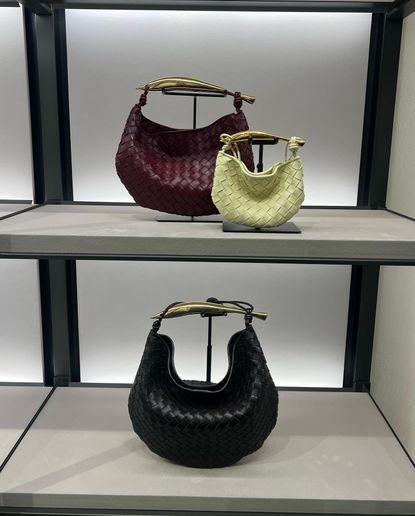 The Best Bottega Veneta Bags To Invest Your Money In | Who What Wear