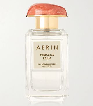 Aerin + Hibiscus Palm