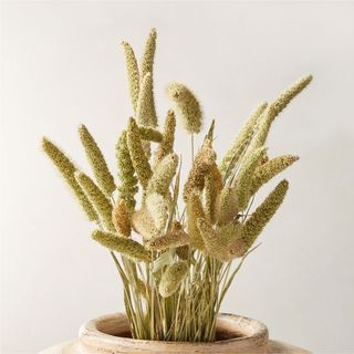 Cb2 + Dried Millet Bunch 20 Inch