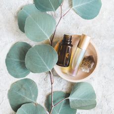 eucalyptus-oil-benefits-299402-1650583399762-square