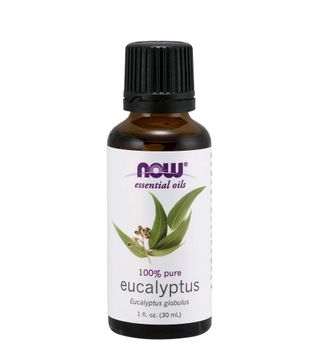 Now + Eucalyptus Oil (Pack of 3)