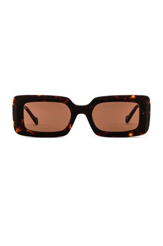 Devon Windsor + Havana Sunglasses in Tortoise