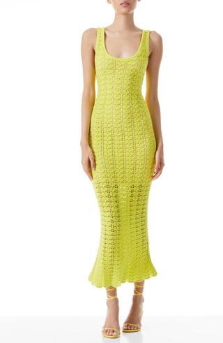 Alice + Olivia + Veronique Pointelle Knit Dress