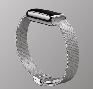 Fitbit + Luxe Stainless Steel Mesh