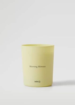 Mango + Mimosa Morning Scented Candle, 180g