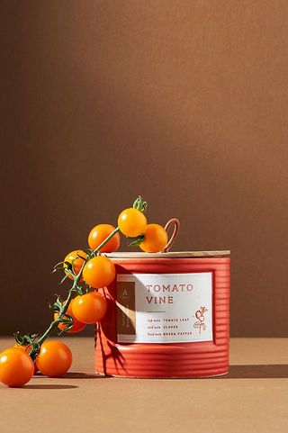 Anthropologie + Hive & Wick Market Candle Tomato Vine