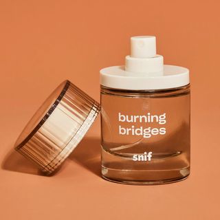 Snif + Burning Bridges