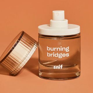 Snif + Burning Bridges