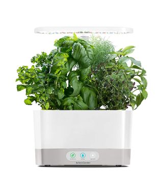 AeroGarden + Harvest with Gourmet Herb Seed Pod Kit - Hydroponic Indoor Garden