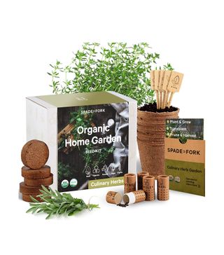 Spade to Fork + Indoor Herb Garden Starter Kit