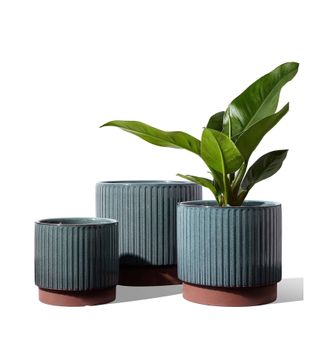 Le Tauci + Planter Pots (Set of 3)