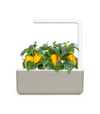 Click & Grow + Smart Garden 3 Self Watering Indoor Garden