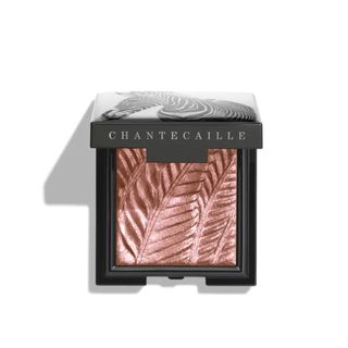 Chantecaille + Luminescent Eye Shade in Zebra