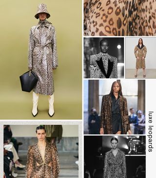 animal-print-trend-fall-2022-301468-1659049229950-main