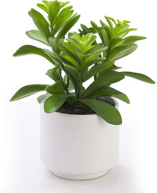 Symmetric Matrix + Artificial Plant in Ceramic Pot, Fake Succulent Plant for Home Decor, Faux Plant, 8.75